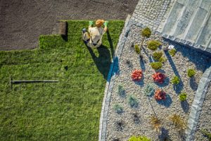 Hardscape